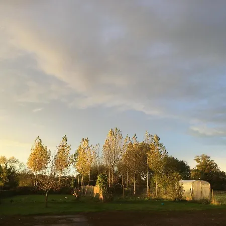 Bed & Breakfast Le Buisson