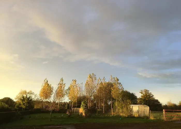 Bed & Breakfast Le Buisson