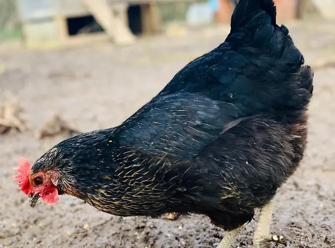 Le Buisson Cartigny-l'Epinay